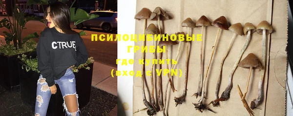 прущая мука Протвино