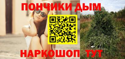 шишки Пыть-Ях