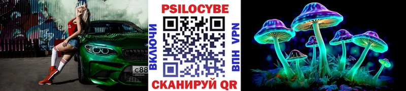 KRAKEN маркетплейс  Шатура  Галлюциногенные грибы Cubensis 