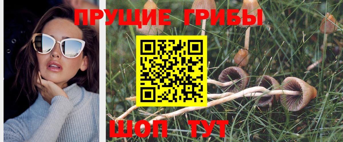 продажа наркотиков  Галлюциногенные грибы мицелий  Вход с VPN  Шатура  Галлюциногенные грибы мухоморы 